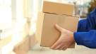 Fast Speed Delivery Services