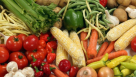 Fresh Garden Foodstuff Trading