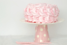 Papillon Cake