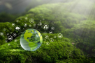 Everest Energy Dmcc
