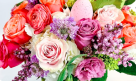 Flora La Mer Flower Trading