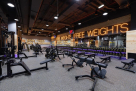 Gymnation