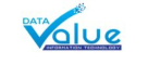 Data Value Information Technology