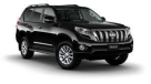 Pioneer Luxury Cars