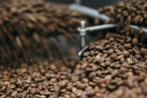 Coffee Lab