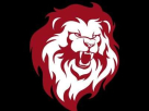 Lions Karate Martial Arts Club