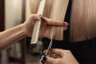 Shade Salon