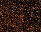 Base Brews Coffee Roasting & Packaging
