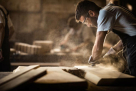 Golden Wood For Wood Industry