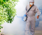 Ecoplus Property Care Services