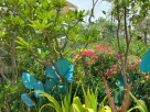 Nadi Gardens