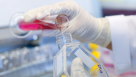 Molecular Biology & Genomics Centre