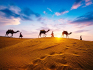 Air King Travel And Tours