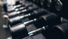 Martin Sport Equipment Trading