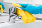 Whiskers Infracare Cleaning Services