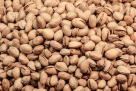 The Pistachio Company Food Trading