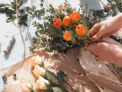 Stone Florist