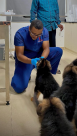 Phoenix Veterinary Clinic