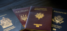 Mics Global Visa Services