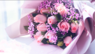 Les Trois Fleurs Flowers & Ornamental Plants Trading