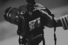 Tiny Poses Photography Services