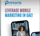 Protons Software Development