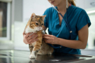 Tpv Veterinary Clinic