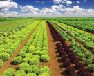 Metts Irrigation Equipment & Requisites Trading