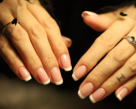 Beauty Blender Salon