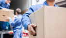 Move It Cargo Packaging & Movers