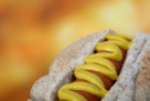 Hot Dog Garage