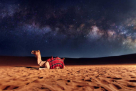 Al Marmoom Tourism