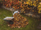 Raiza Najaf Landscape & Gardening Works & Maintenance