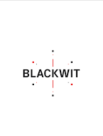 BlackWit Cyber Solutions
