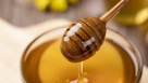 Reef Al Nahl Honey Trading