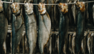Faisal Abdulla Seafood Processing