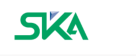 Ska International Group Dmcc