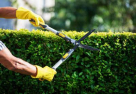Hashim Darwish Ibrahim Landscaping