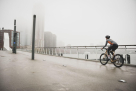 Street Al Qudra Cycling Track 2