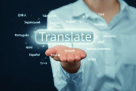 Mundo Legal Translation Services