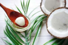 Faaz Coconut Oil Mill