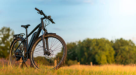 Friend Bicycle Trading