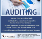 Standard Auditing