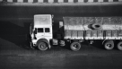 Youshine Cargo Services