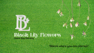 Black Lily Flowers Trading