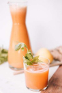 Fresh Blender