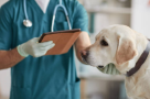 Shamael Al Khaleej Veterinary Medicine & Equipment Trading