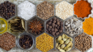 Al Fares Al Asel General Trading