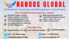 Nanoos Global Vakeel Management Consultancies