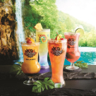Rainforest Restaurant